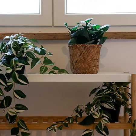 Dom wakacyjny Rafaelo Pool Side *