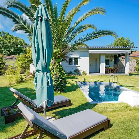 Rafaelo Pool Side Olympiada