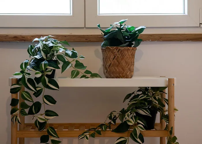 度假居 Rafaelo Pool Side *